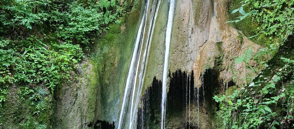 Biotopo dell'acqua caduta