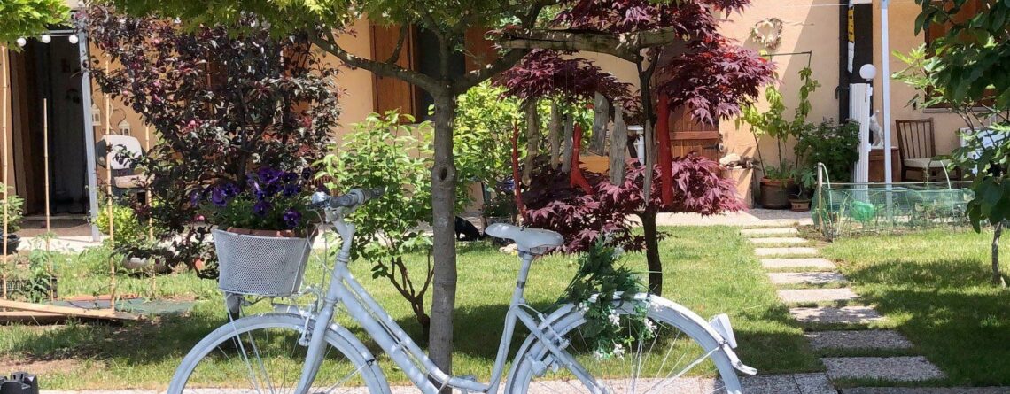 sensory-garden-San-Daniele