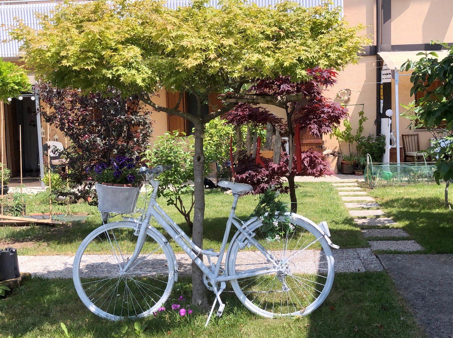 Hero Image