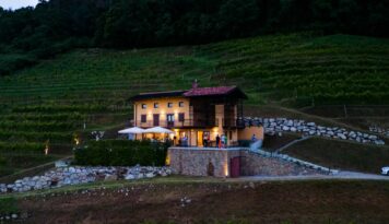 Degustazione presso Cantine Coos